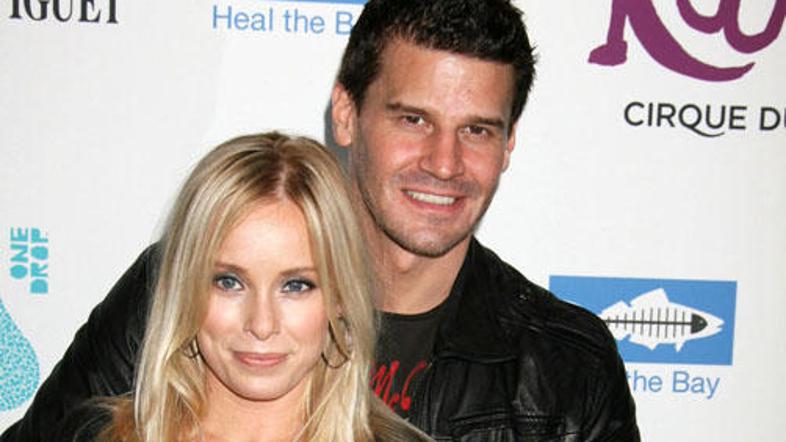 Svoj zakon sta zakonca že reševala, saj je imel David pred devetimi leti afero z