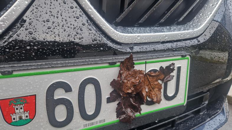 Prekrita registrska tablica