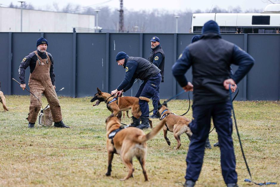oddelek za šolanje službenih psov Gmajnice, policijski psi, šolanje psov | Avtor: Saša Despot