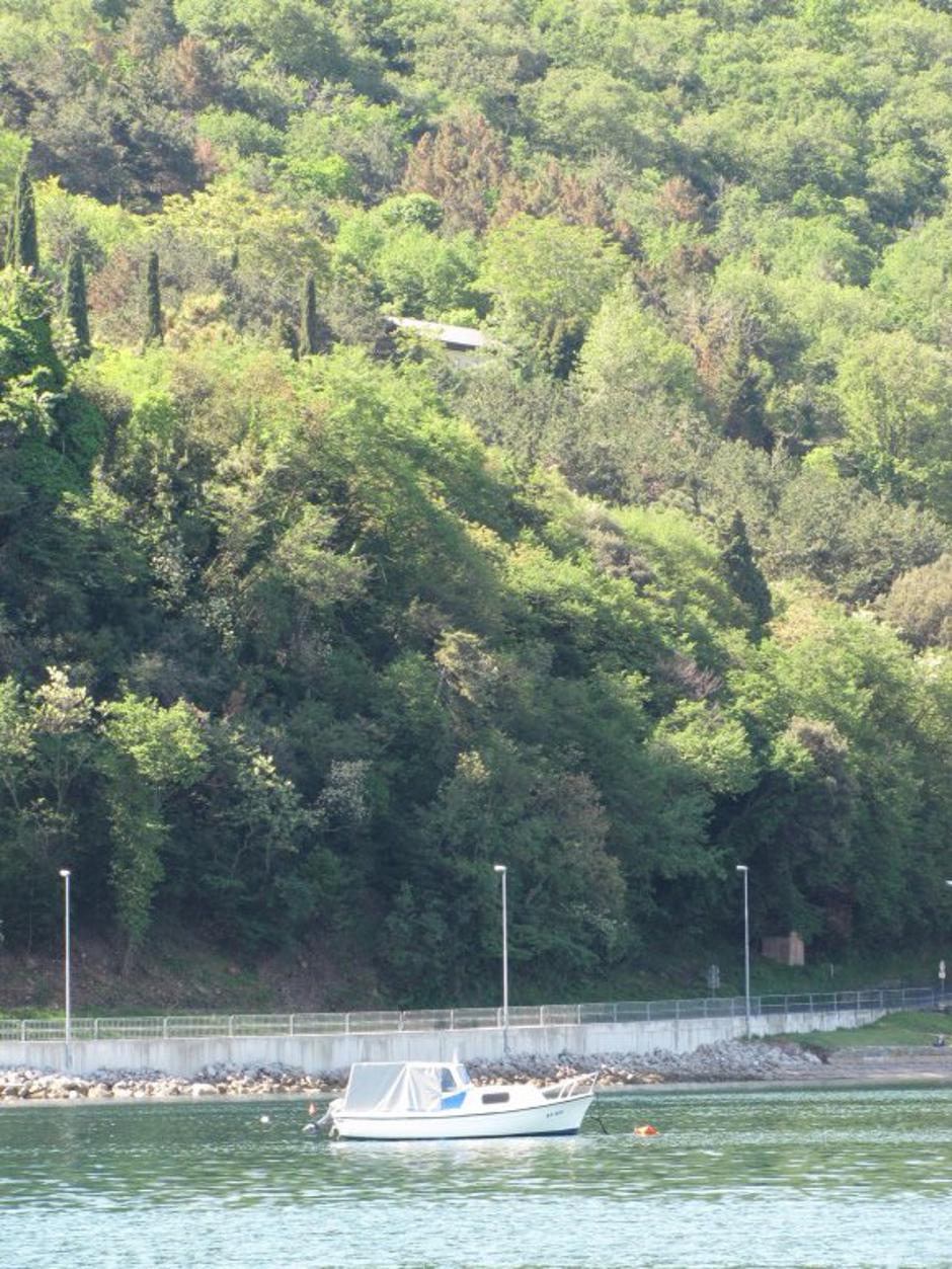 hiša stanislava valanta | Avtor: Suzana Kos