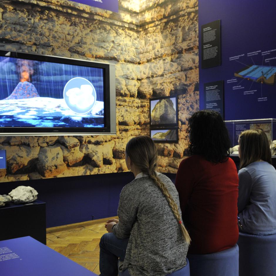 Naše malo veliko morje Prirodoslovni muzej Slovenije | Avtor: Ciril Mlinar Cic