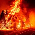 Kalifornija požar