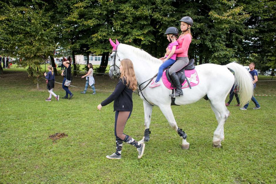 Sejem za ljubitelje živali, jahanje konj | Avtor: Saša Despot