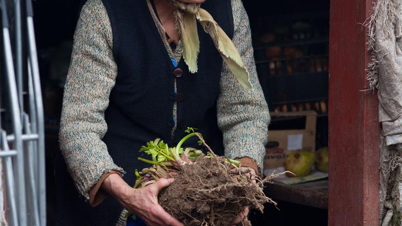 stara gospa upokojenci upokojenka revščina ostareli ostarela