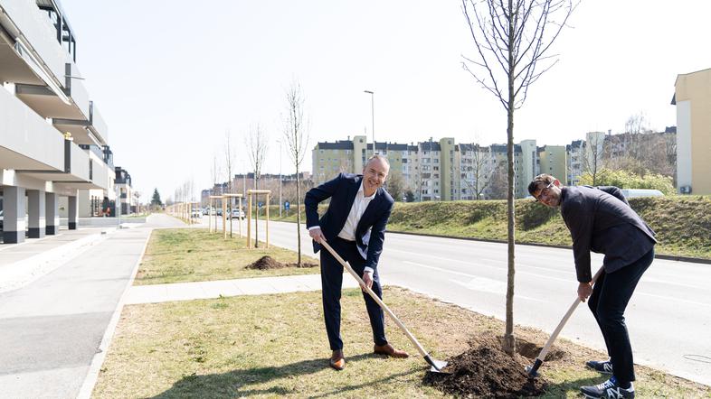 Župan MOK Matjaž Rakovec in predsednik uprave Gorenjske banke Mario Henjak sta simbolično zasadila enega od dreves