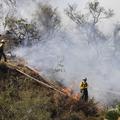 Požari so najhujši na območjih, kjer že dolgo ni gorelo, ponekod gozdnih požarov