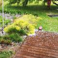 Sodra v Ljubljani