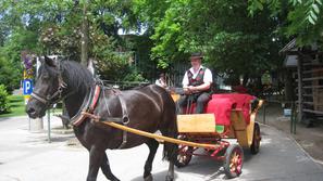 Pare, ki se bodo poročili na Grajski poroki, bodo po Bledu in okoliških vaseh vo