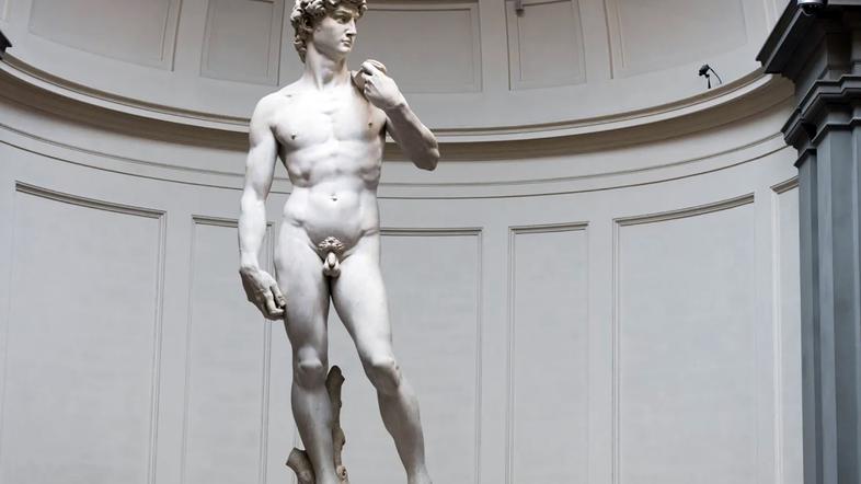 michelangelo buonarotti david kip