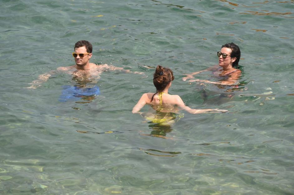 petdeset odtenkov sive