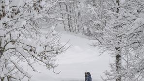 Avstrija, sneg