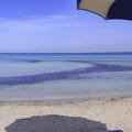 Plaža