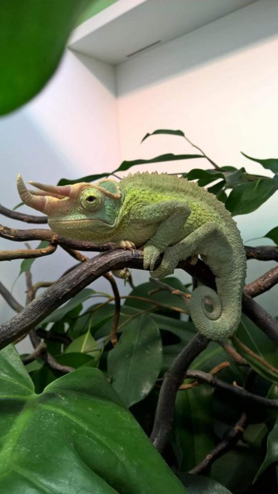 21. Bioexo | Avtor: Bioexo