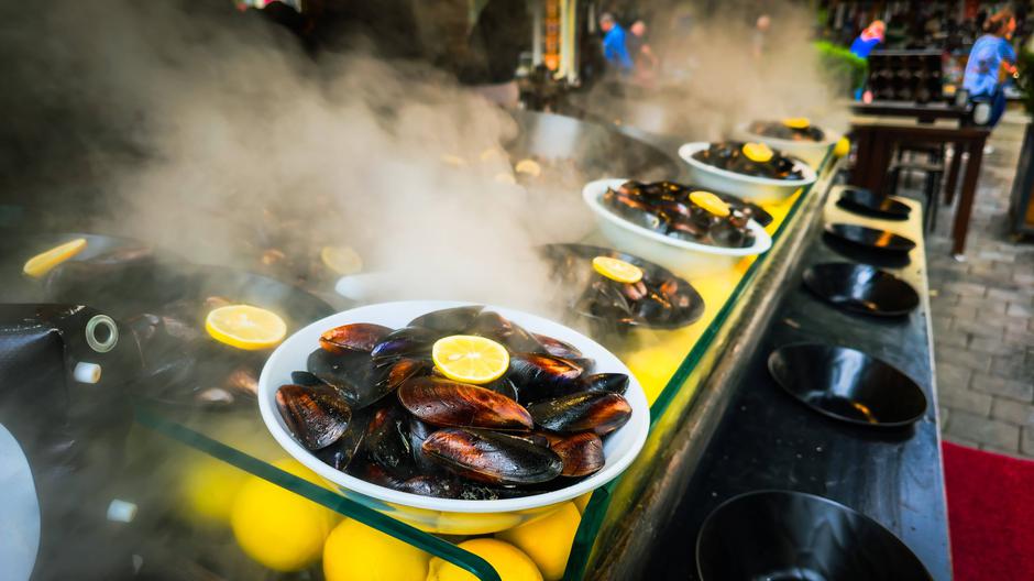 školjke | Avtor: Profimedia