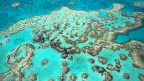Great Barrier Reef, Avstralija