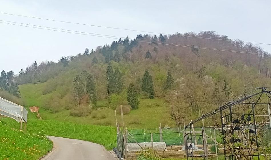 Tik pred smrtjo klical policijo: Zraven mene je počilo, sosed strelja name