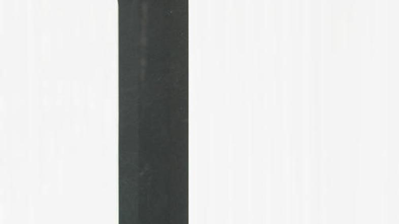 Ponudbe za gradnjo stolpa so bile lani privedle do pdmevnih aretacij Ivana Zidar