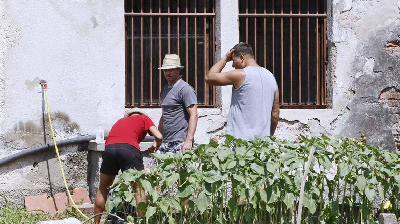 Pličanič na Povšetovi