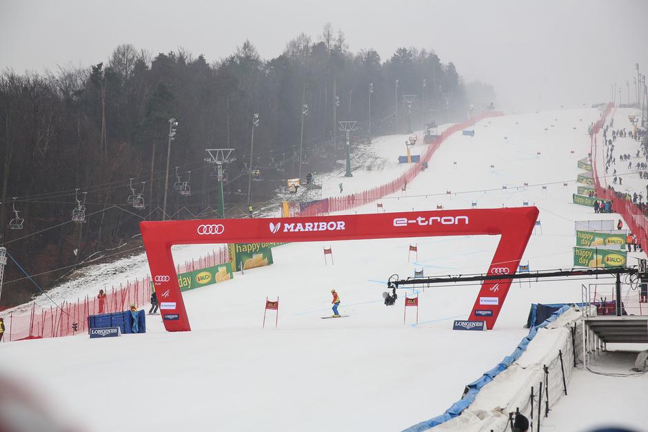 Zlata lisica | Avtor: Saša Despot