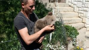 matevž logar,  medved Srečko