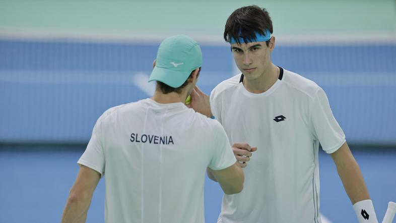 Slovenska teniška reprezentanca; Davisov pokal