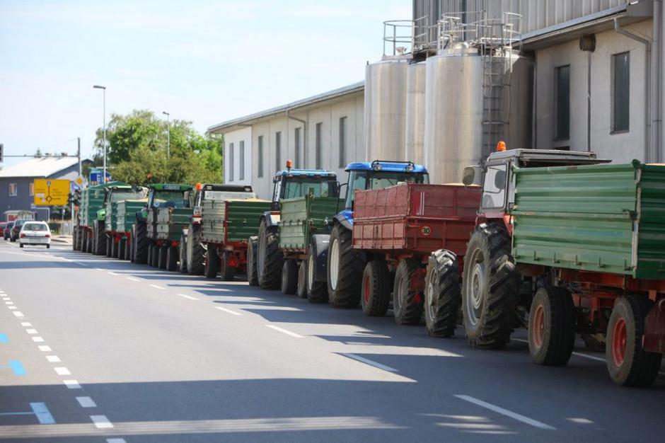 pšenica | Avtor: Nino Verdnik