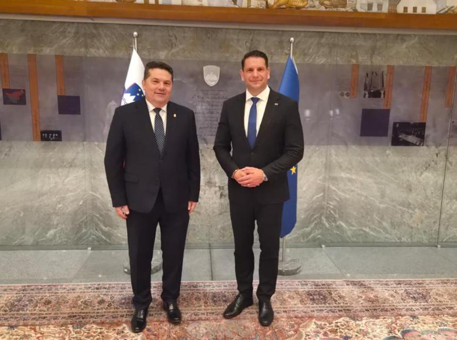 Stevanović in Stevandić | Avtor: DZ