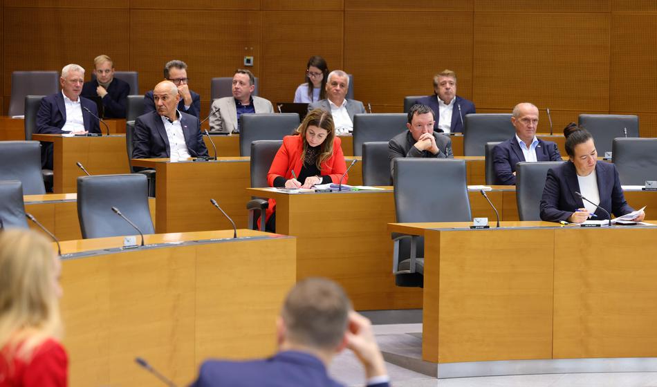 To bodo z božičnico naredili poslanci SDS