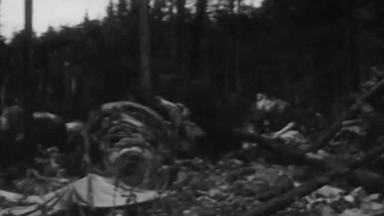 Strmoglavljenje letala1966