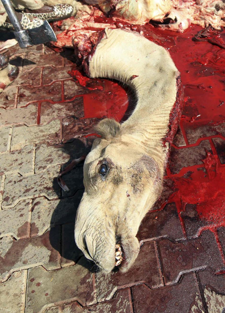  | Avtor: Žurnal24 main