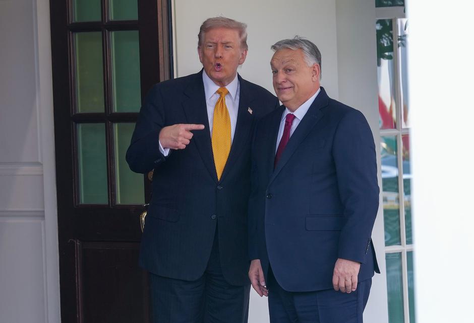 Donald Trump in Viktor Orban | Avtor: Profimedia