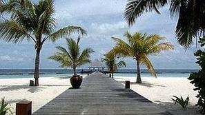 Mir turistov na belih peščenih plažah, obdanih s palmami, je nepričakovano preki