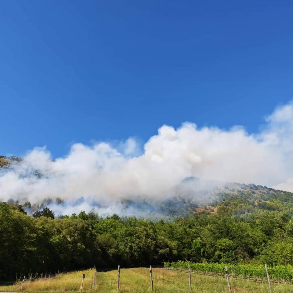 Požar na krasu 4. julij 2026 | Avtor: Gasilska zveza Slovenije