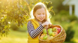 Otrok, hrana, sadje, vitamini