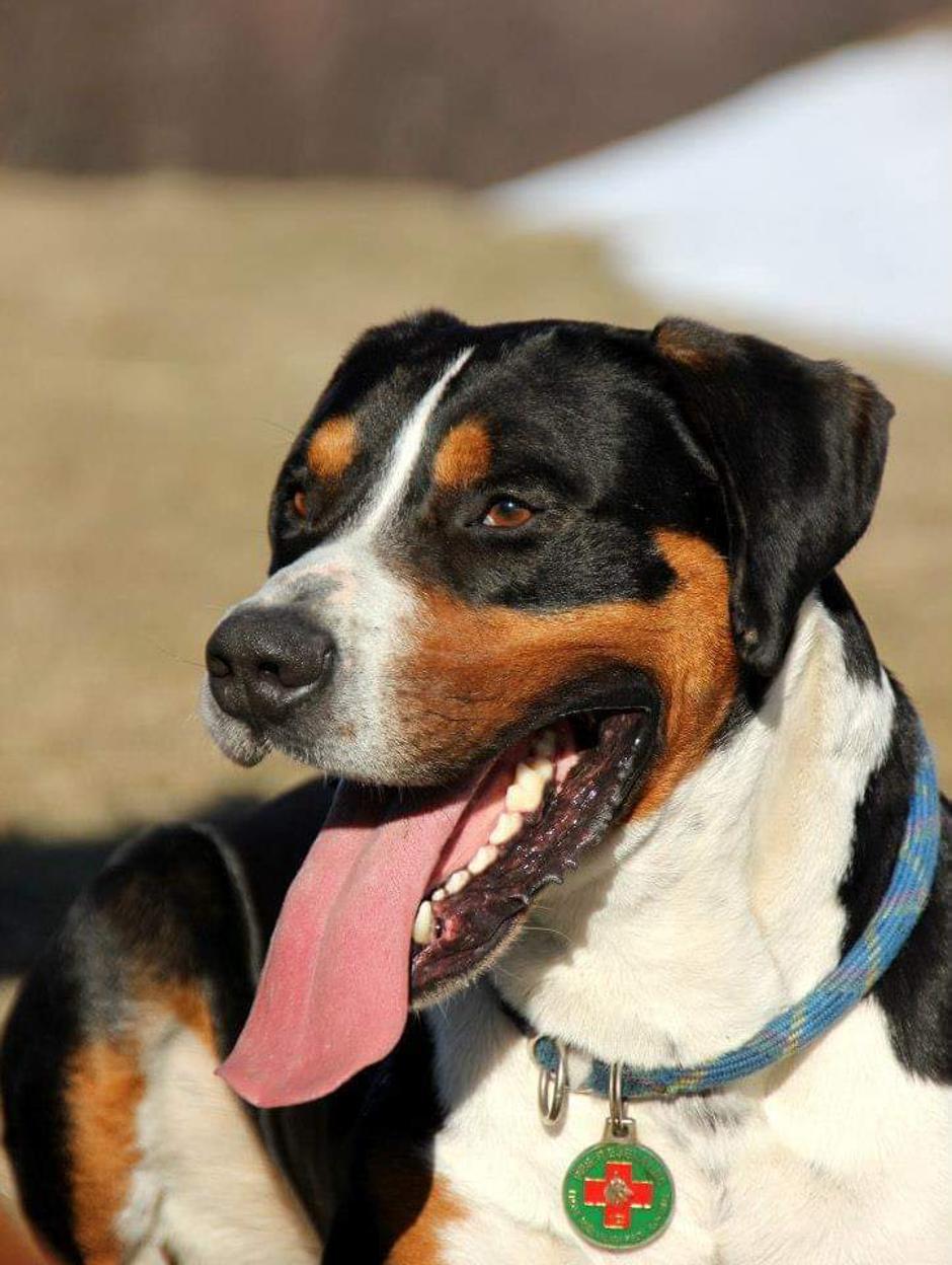 KD Obala | Avtor: KD Obala