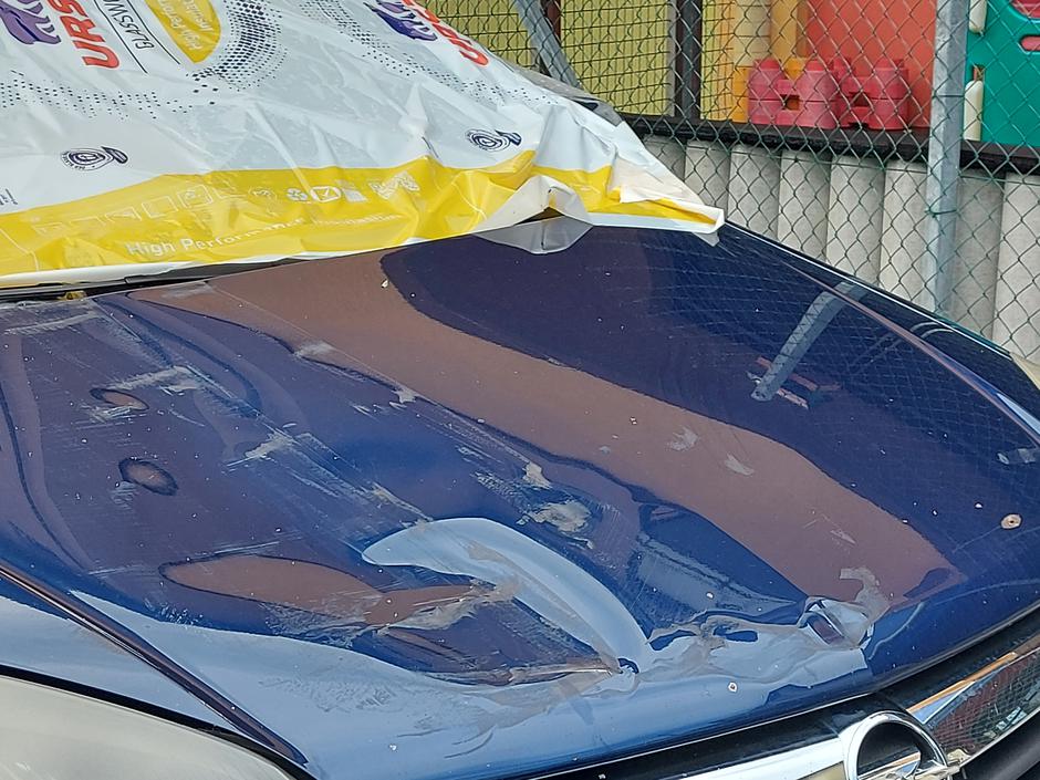 Neurje, Medvode, posneto 6.8.2022 | Avtor: M. Ha.