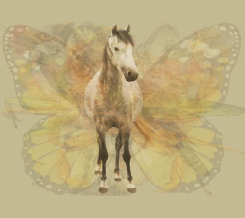 Test | Avtor: Tumblr