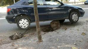 Parkiranje na Zoisovi