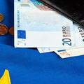 denarnica z evri