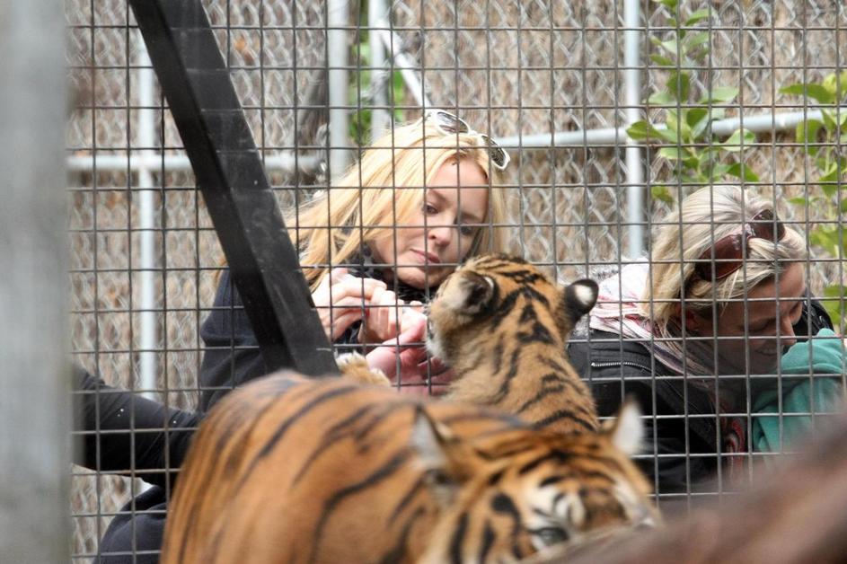 Kylie Minogue živalski vrt