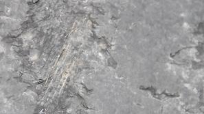 Neizpraven tovornjak