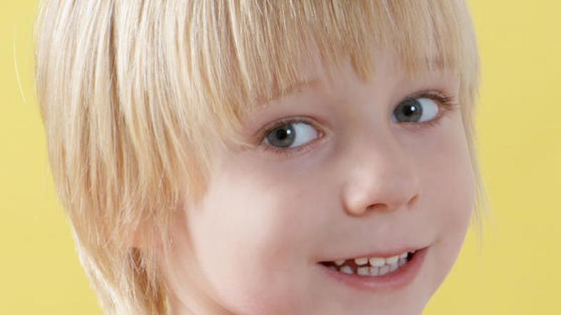 Navihanček (Foto: Shutterstock)