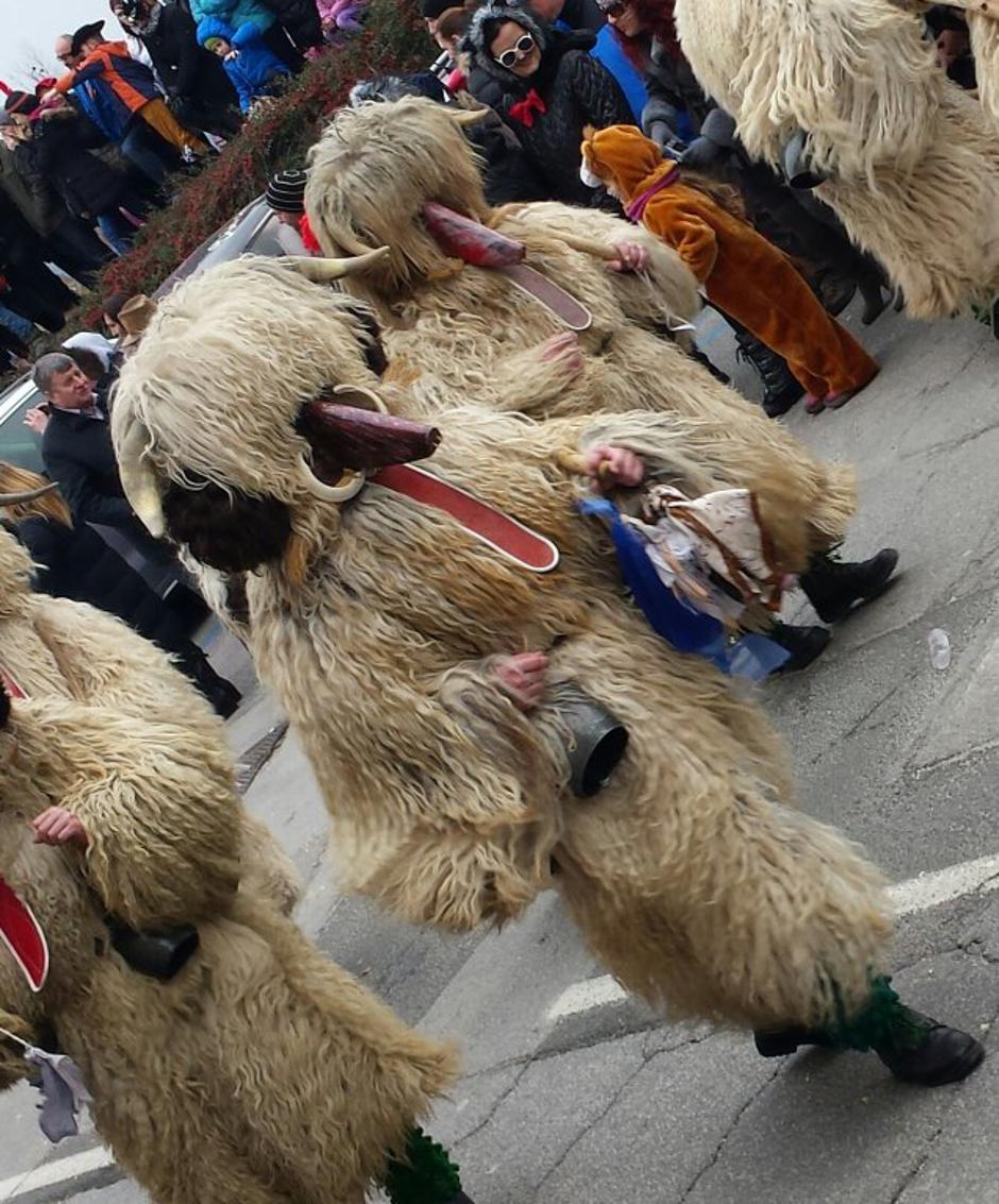 pust karneval Ptuj | Avtor: Janez Krušič Sterguljc