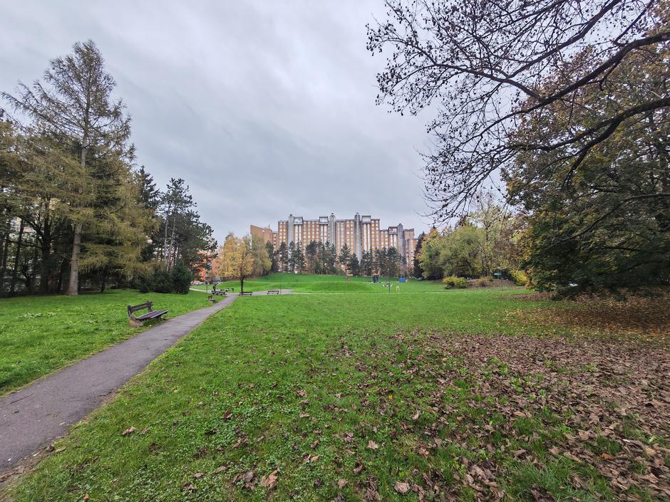 Vivo X 80 Lite | Avtor: D. J.