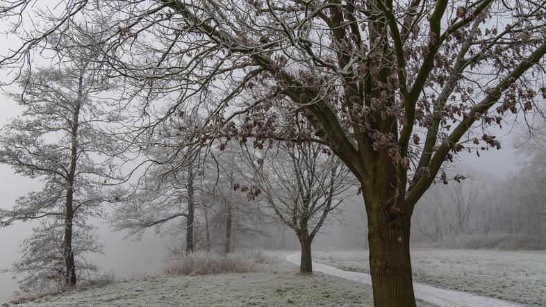 zima mraz zmrzal nizke temperature slana ivje