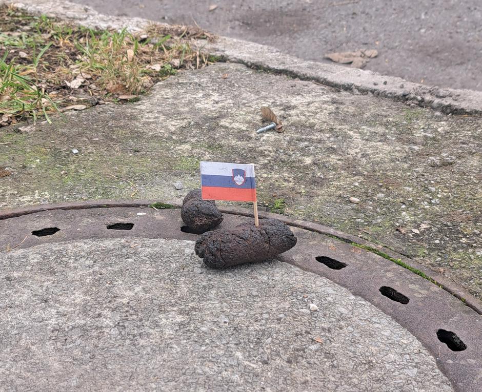 Zastavice | Avtor: Osebni arhiv