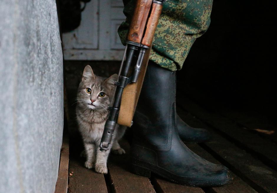 mačka maček vojna vojak orožje Ukrajina | Avtor: Epa
