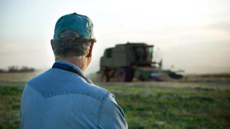 Tujci bodo dobrodošli le v kmetijstvu in gozdarstvu.