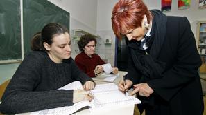 Majda %C5%A0irca, referendum