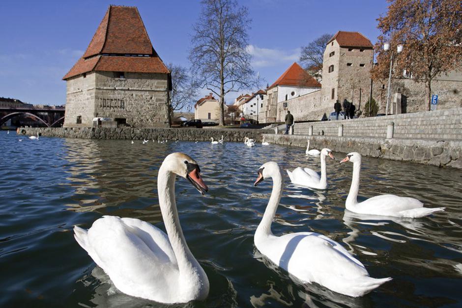 Maribor | Avtor: Epa